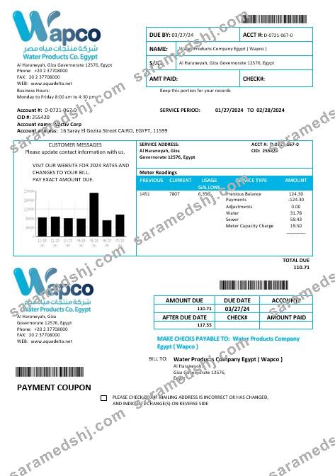 Egypt Water Products Company Egypt Wapco business utility bill template